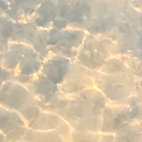 Meet your Posher, Annabelle - Picture 1 of 1